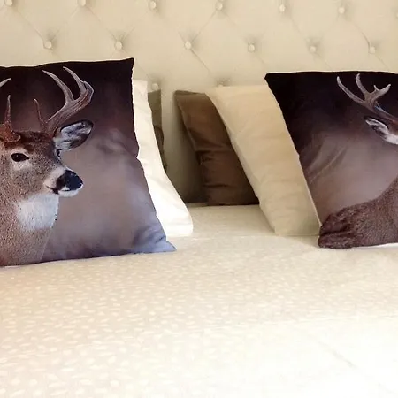 Boutique Maison Aguerria Aldudes