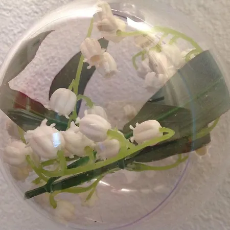 Boutique Maison Aguerria 3* Aldudes