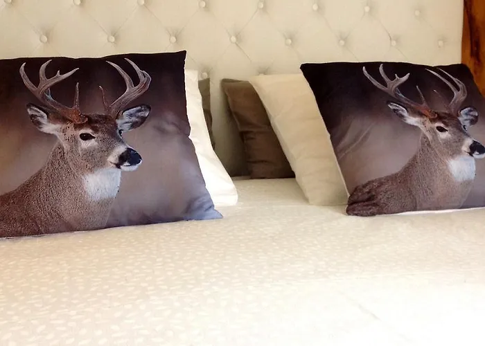 Boutique Maison Aguerria Aldudes