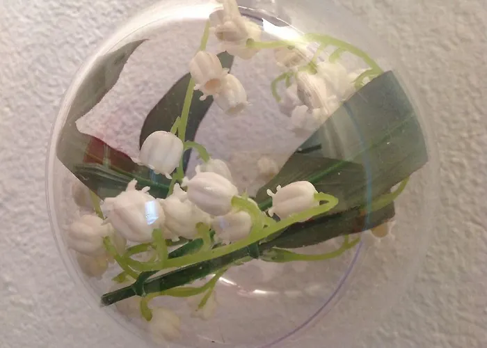 Boutique Maison Aguerria 3* Aldudes